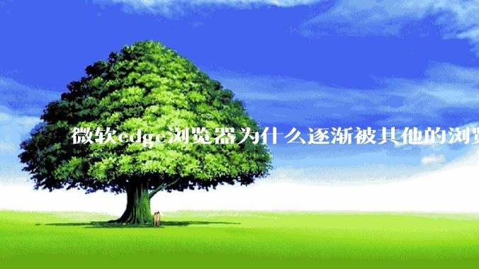 微软edge浏览器为什么逐渐被其他的浏览器代替？
