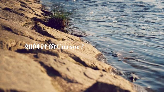 如何评价Cursor？