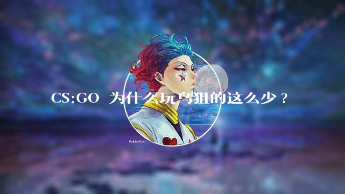 CS:GO 为什么玩鸟狙的这么少?