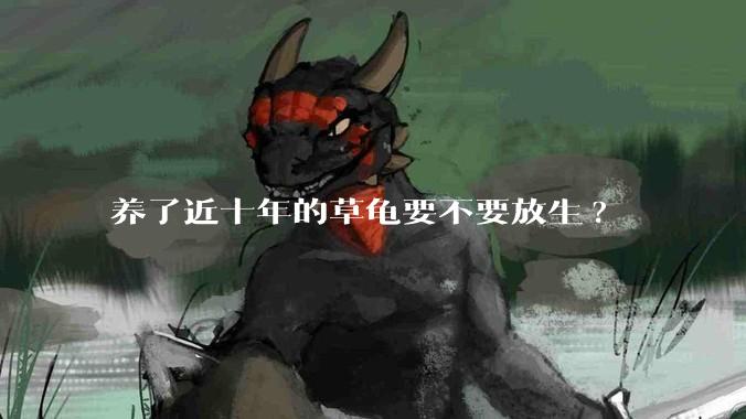 养了近十年的草龟要不要放生?