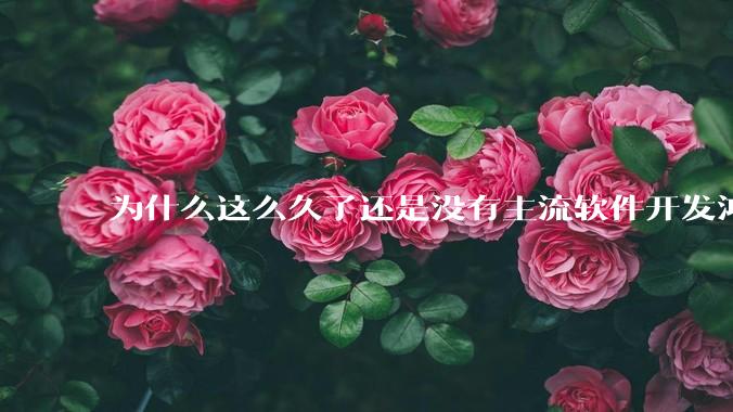 为什么这么久了还是没有主流软件开发鸿蒙版？